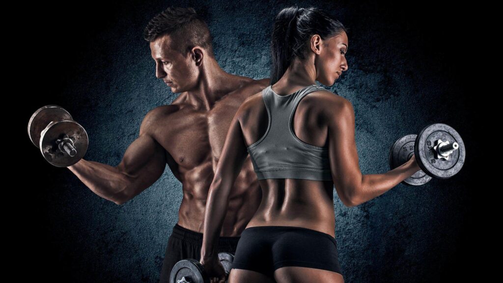 body fitness