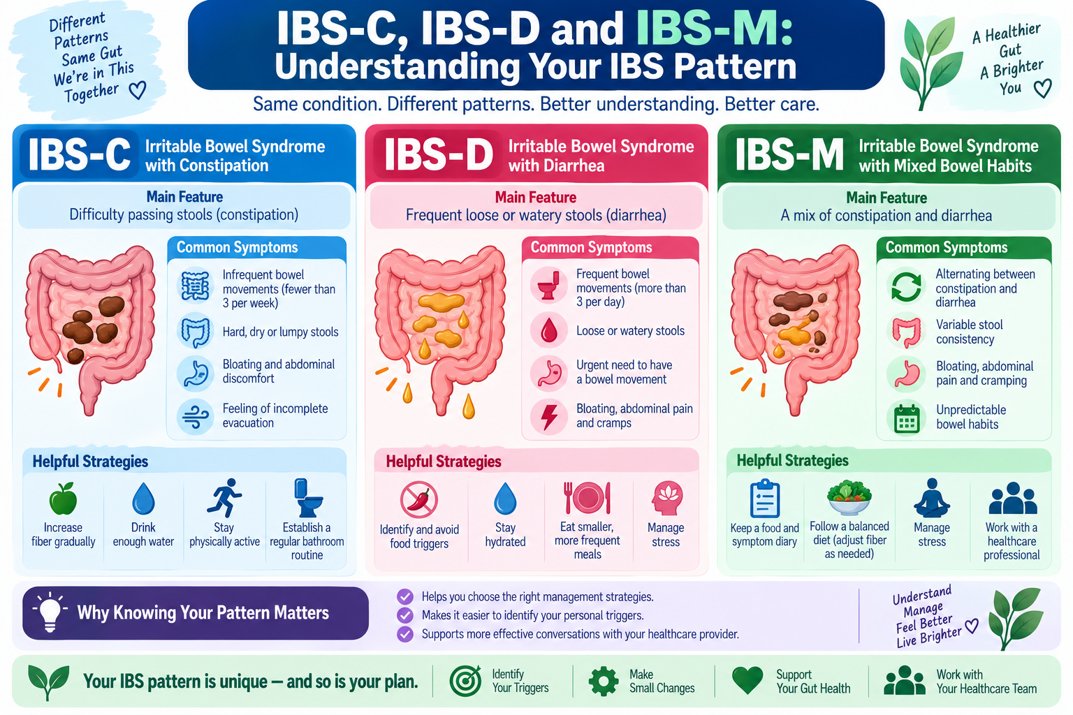 Comparison of IBS-C IBS-D and IBS-M constipation diarrhea and mixed bowel patterns