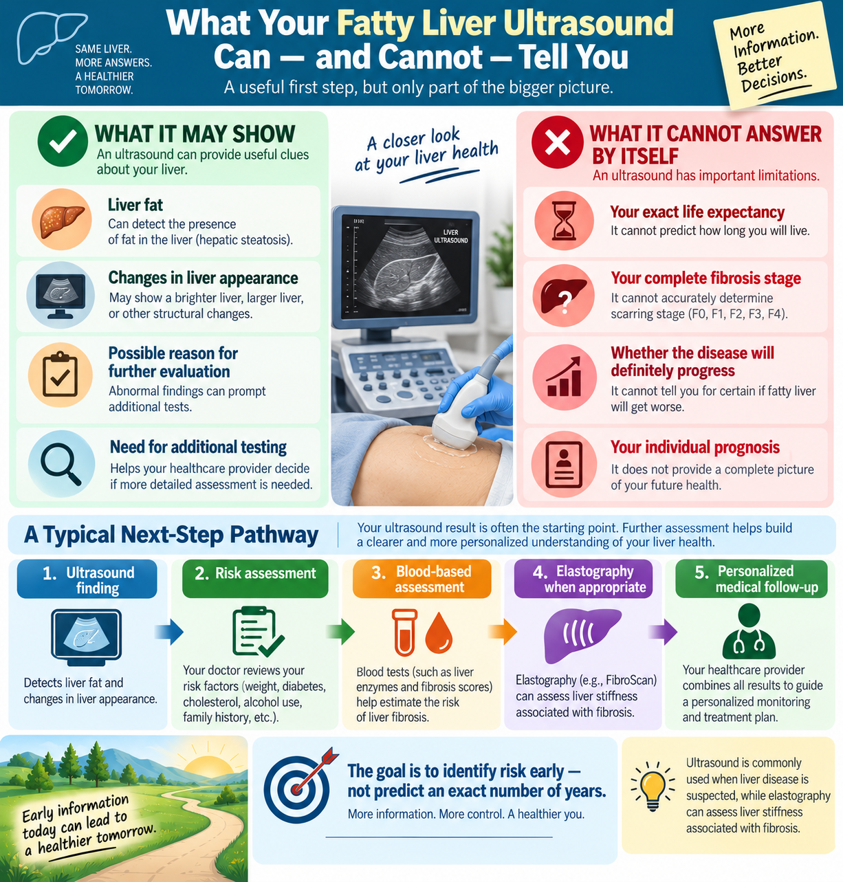 Infographic explaining what a fatty liver ultrasound can and cannot tell you about prognosis