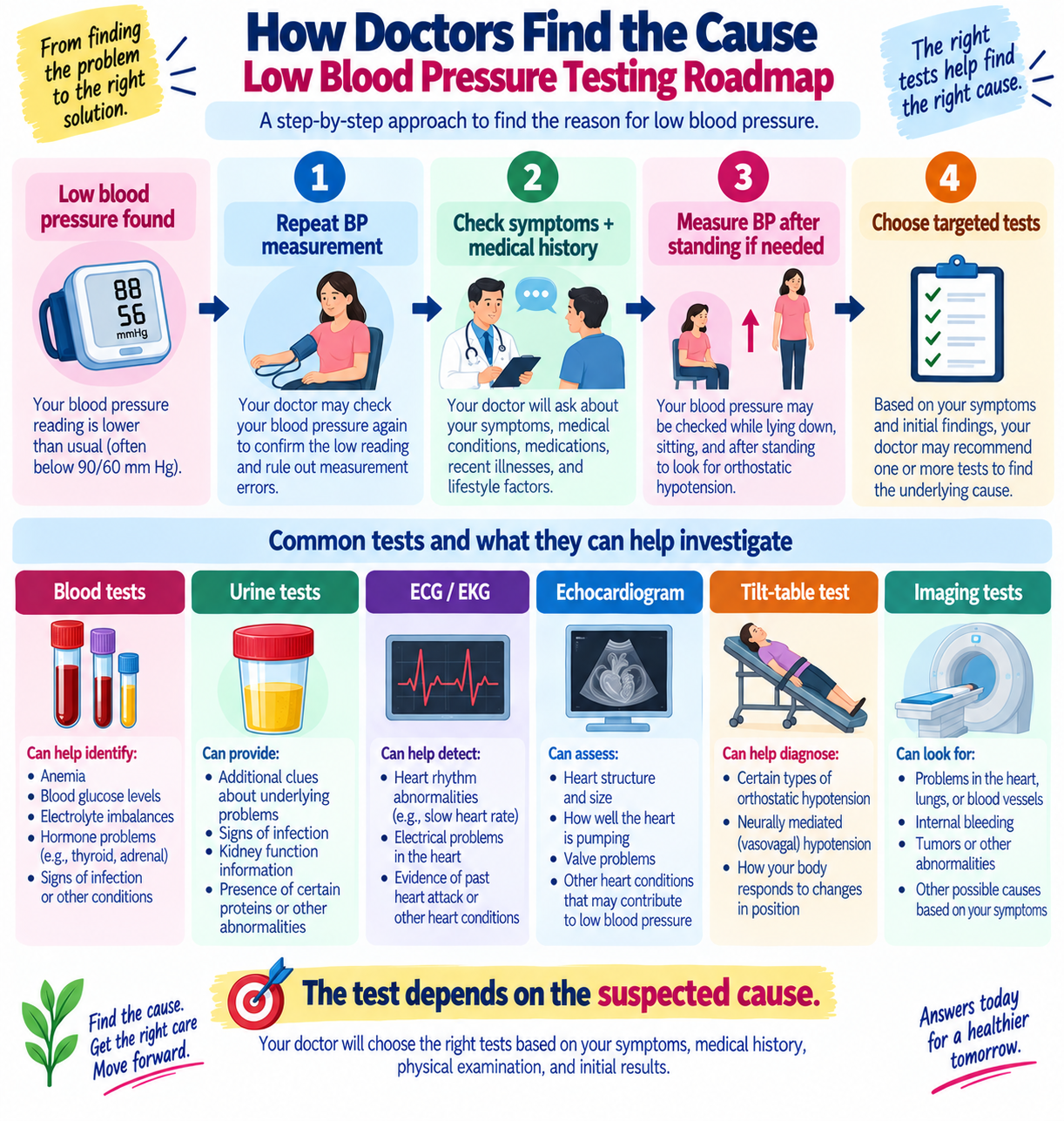 Infographic showing the diagnostic tests doctors may use to find the cause of low blood pressure including blood tests, urine tests, ECG, echocardiogram, tilt-table testing, and imaging