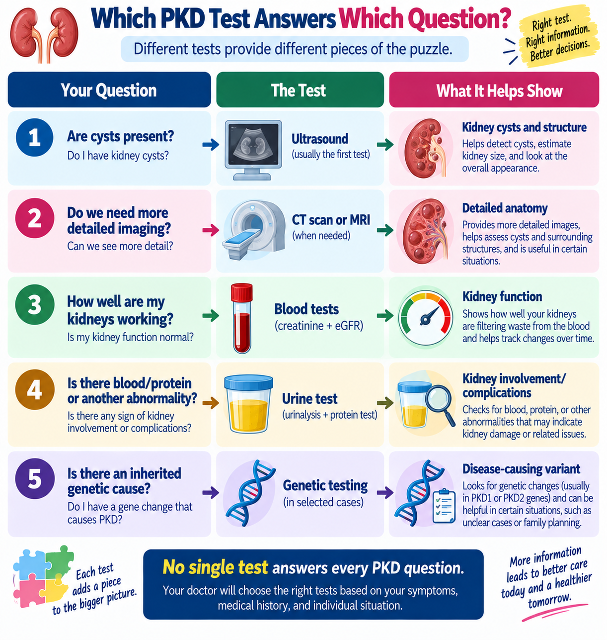 Infographic explaining what ultrasound, CT, MRI, blood tests, urine tests, and genetic testing can show in polycystic kidney disease