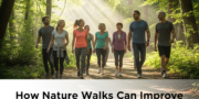 Nature Walks Can Improve Physical Health