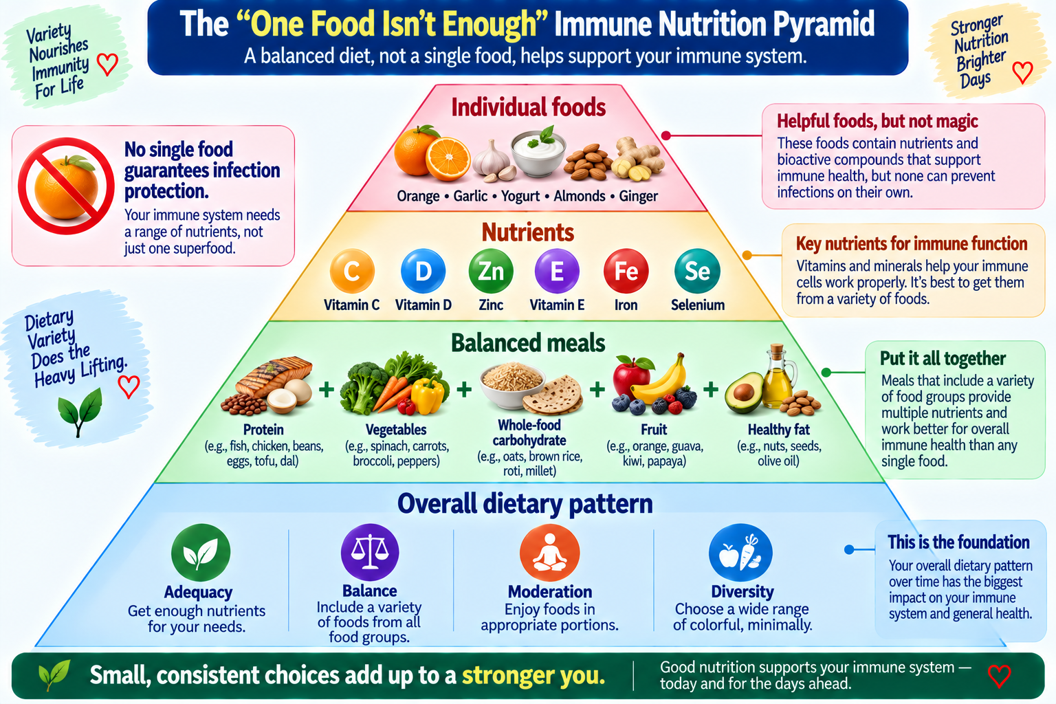 Immune nutrition pyramid showing dietary variety, protein, fruits, vegetables, whole grains, nuts and seeds rather than relying on one immune-supporting food