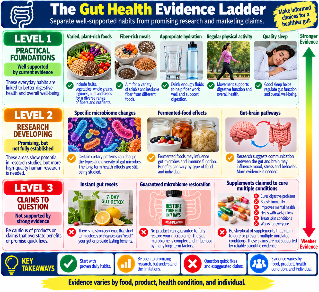 Gut health evidence ladder distinguishing established dietary and lifestyle guidance, emerging microbiome research, and unsupported gut health claims.