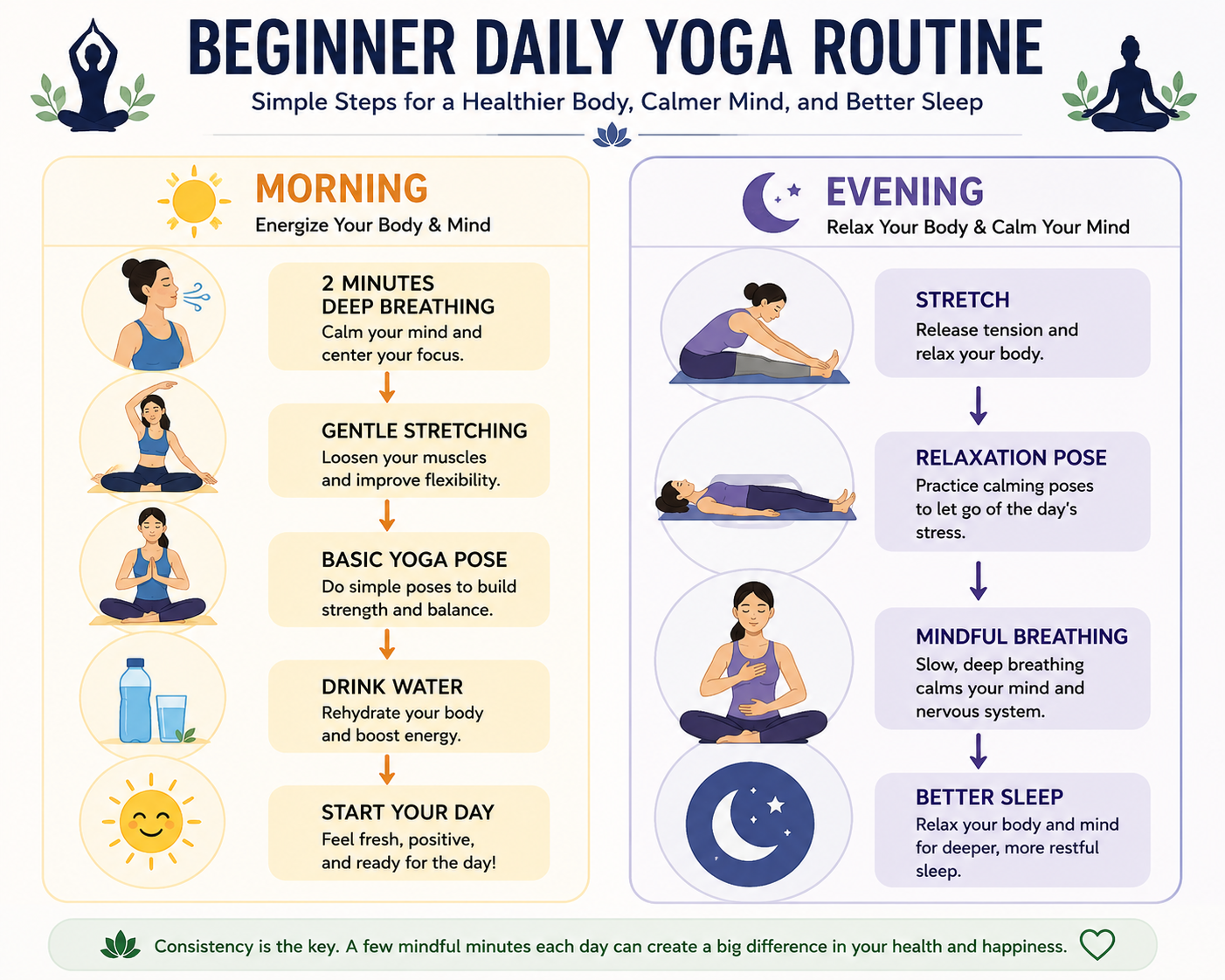 Beginner daily yoga routine infographic showing a simple morning and evening yoga schedule with breathing, stretching, hydration, and relaxation.