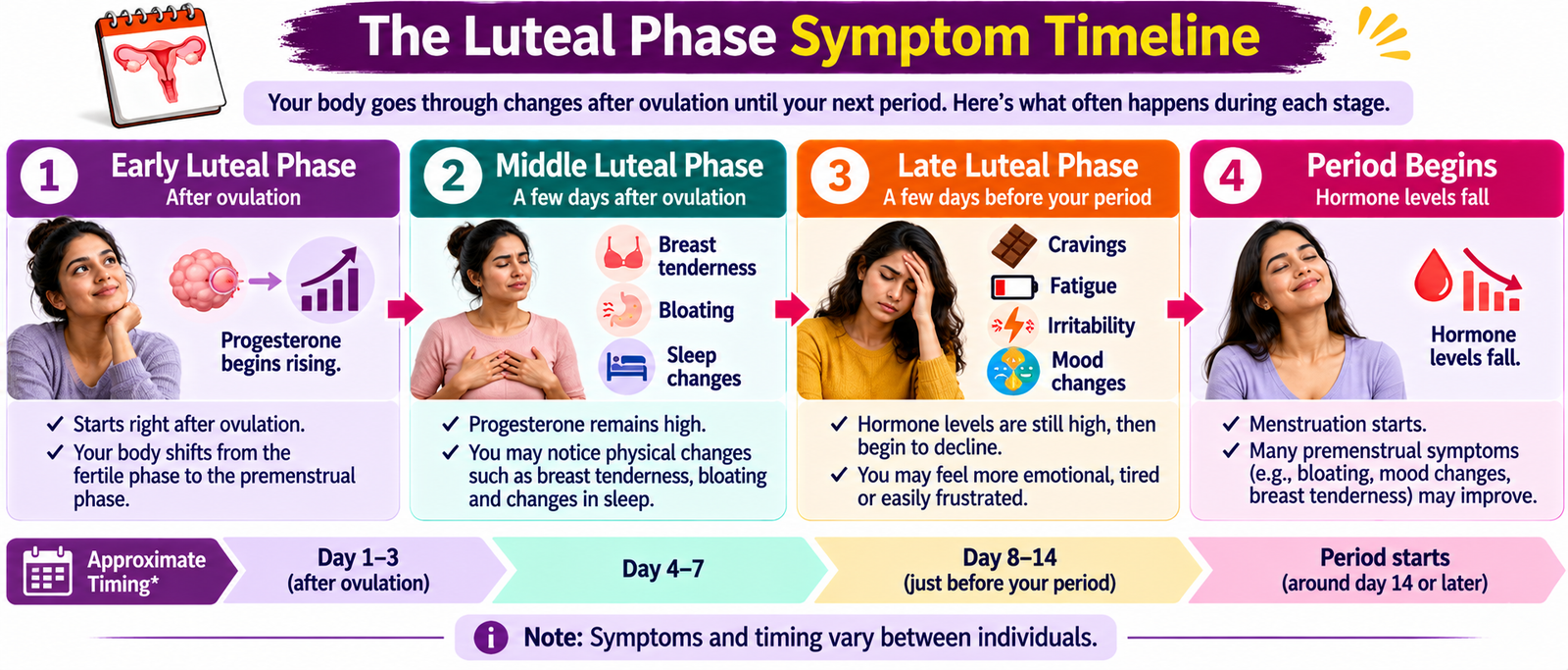 Luteal phase symptom timeline showing possible physical and emotional changes from early to late luteal phase before menstruation.